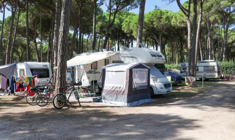 Camping among trees with RVs, bicycles, and a tent.