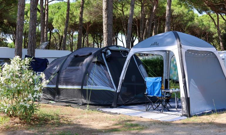 Camping blandt fyrretræer med telt og klapstole.